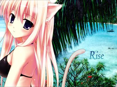 2839 Rise