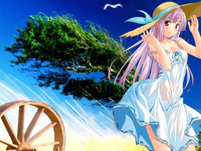 2886 Kawaii Girls Wide